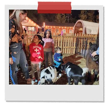 Family-Outings-at-Singletown-Petting-Farm.jpg