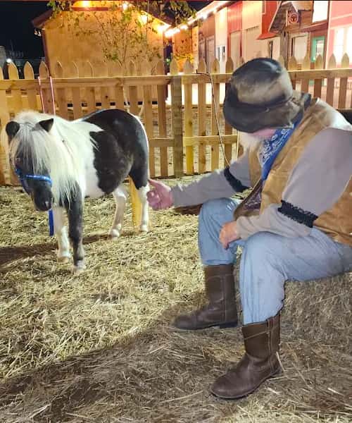 Meet-the-Animals-at-Singletown-Petting-Farm.jpg