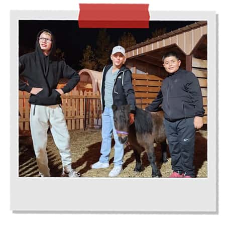 Fun-Things-To-Do-South-Bend-Singletown-Petting-Farm.jpg