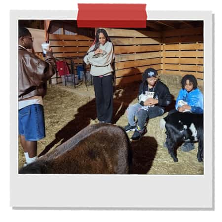 Fun-Things-To-Do-Michiana-Singletown-Petting-Farm.jpg