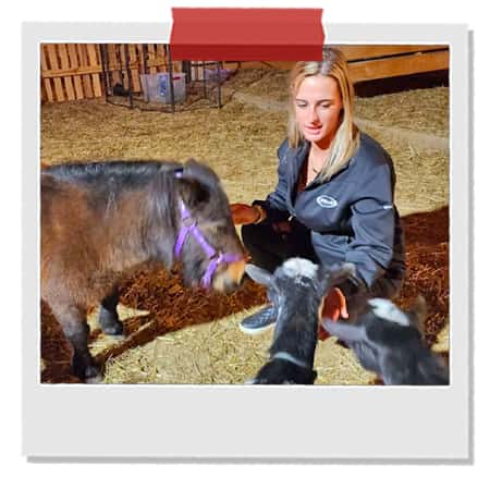 Feeding-Mini-Horses-at-Singletown-Petting-Farm.jpg