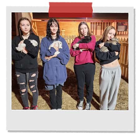 Petting-Farm-at-Singletown-with-Bunnies.jpg