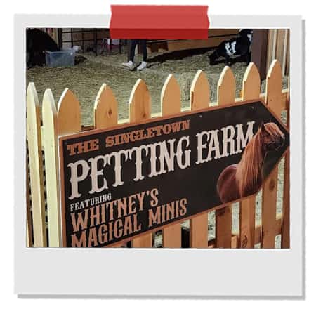 Singletown-Petting-Farm.jpg
