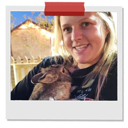 Indiana's-Best-Petting-Farm-Singletown-Petting-Farm.jpg